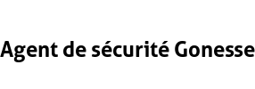 Agent de sécurité Gonesse